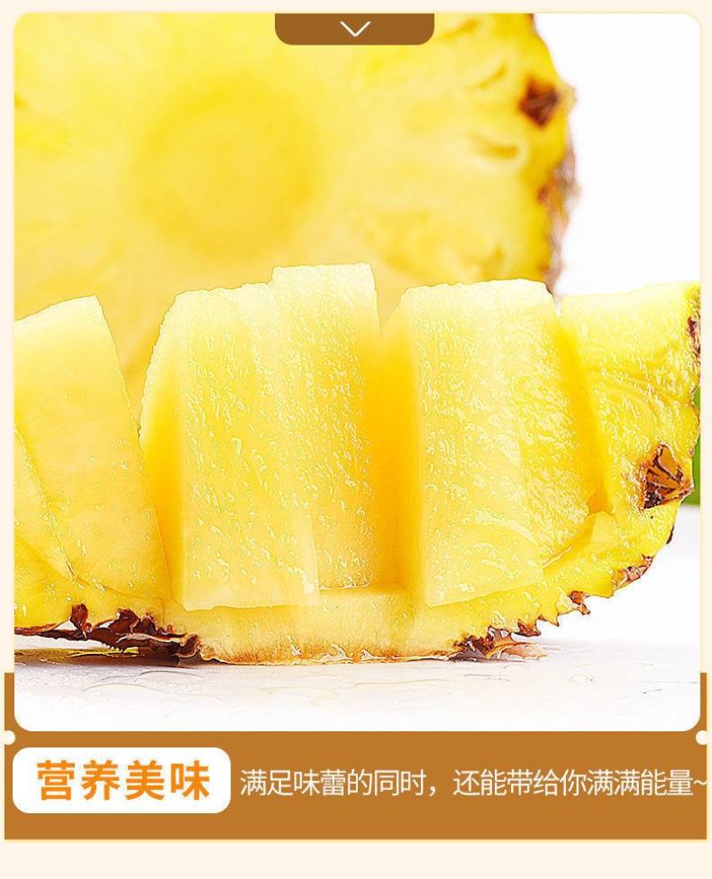 海南金钻凤梨菠萝香水台农16号凤梨当季新鲜水果大果10斤