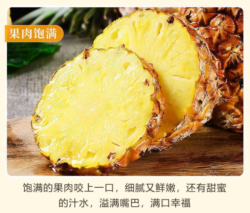 海南金钻凤梨菠萝香水台农16号凤梨当季新鲜水果大果10斤