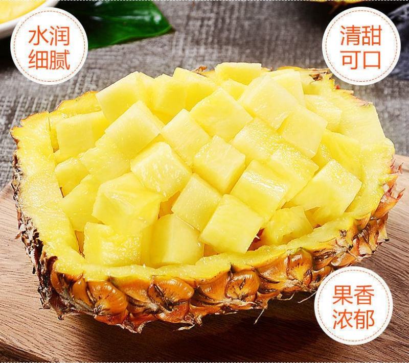 海南金钻凤梨菠萝香水台农16号凤梨当季新鲜水果大果10斤