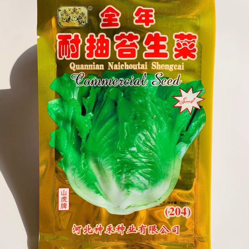 全年耐生菜种子爽脆味美不带苦味，半直立绿叶生菜种子