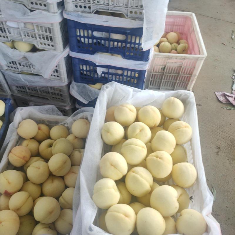 白桃水蜜桃