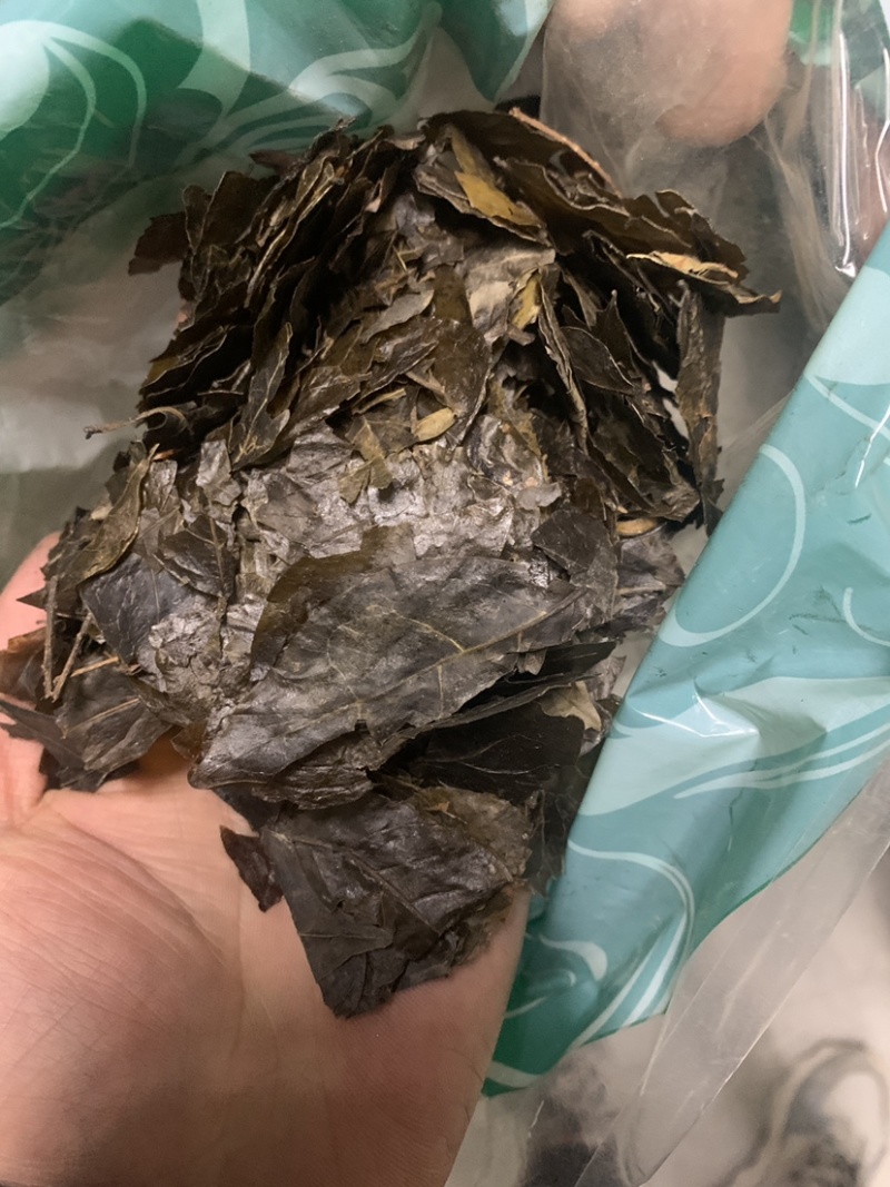 毛冬青叶毛冬青青叶毛冬青黑叶无硫磺熏蒸一公斤起批
