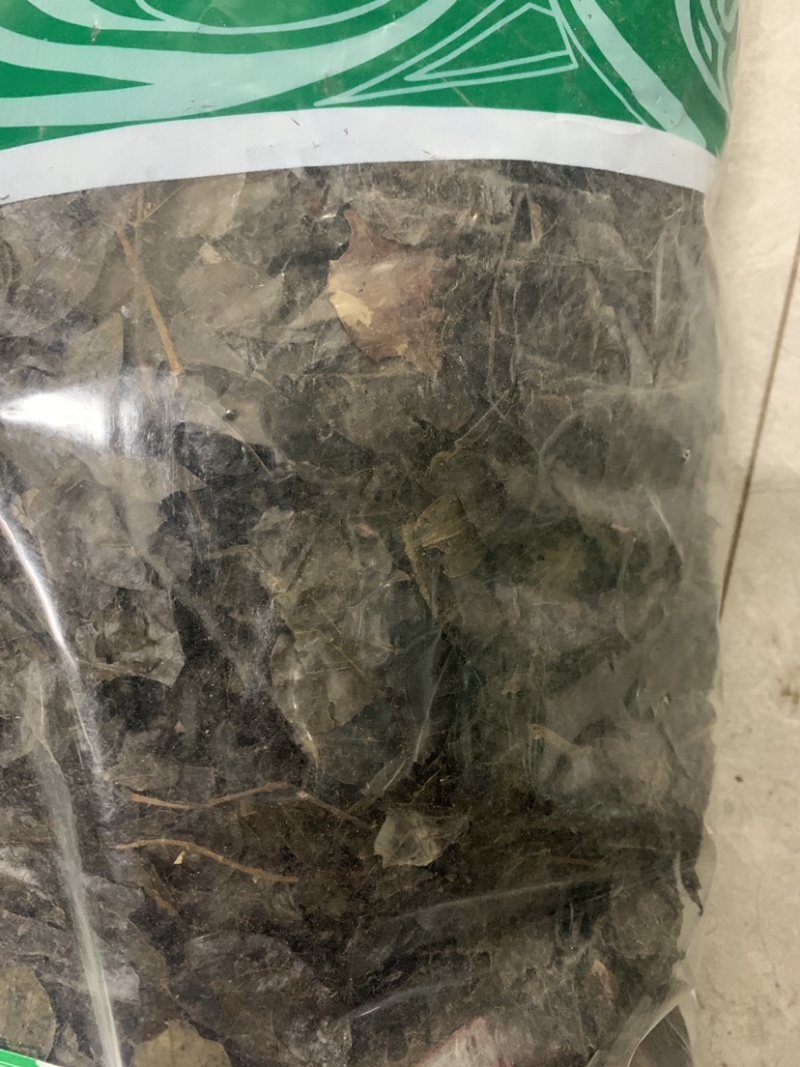 毛冬青叶毛冬青青叶毛冬青黑叶无硫磺熏蒸一公斤起批