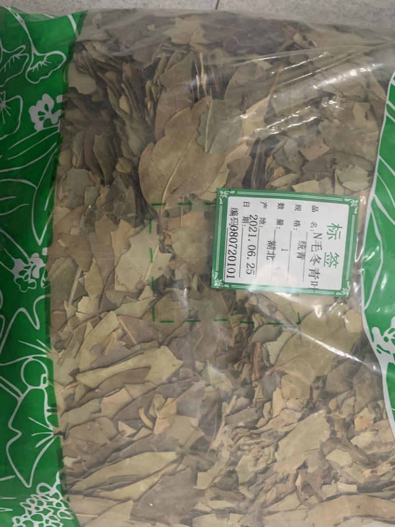 毛冬青叶毛冬青青叶毛冬青黑叶无硫磺熏蒸一公斤起批