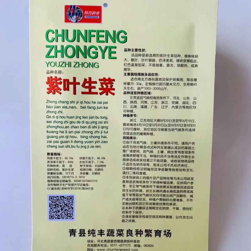 紫叶生菜种子紫色生菜品种散叶型生菜种籽小菜园种子批发