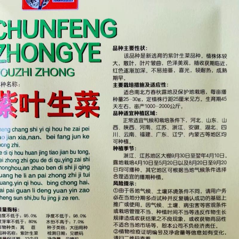 紫叶生菜种子紫色生菜品种散叶型生菜种籽小菜园种子批发