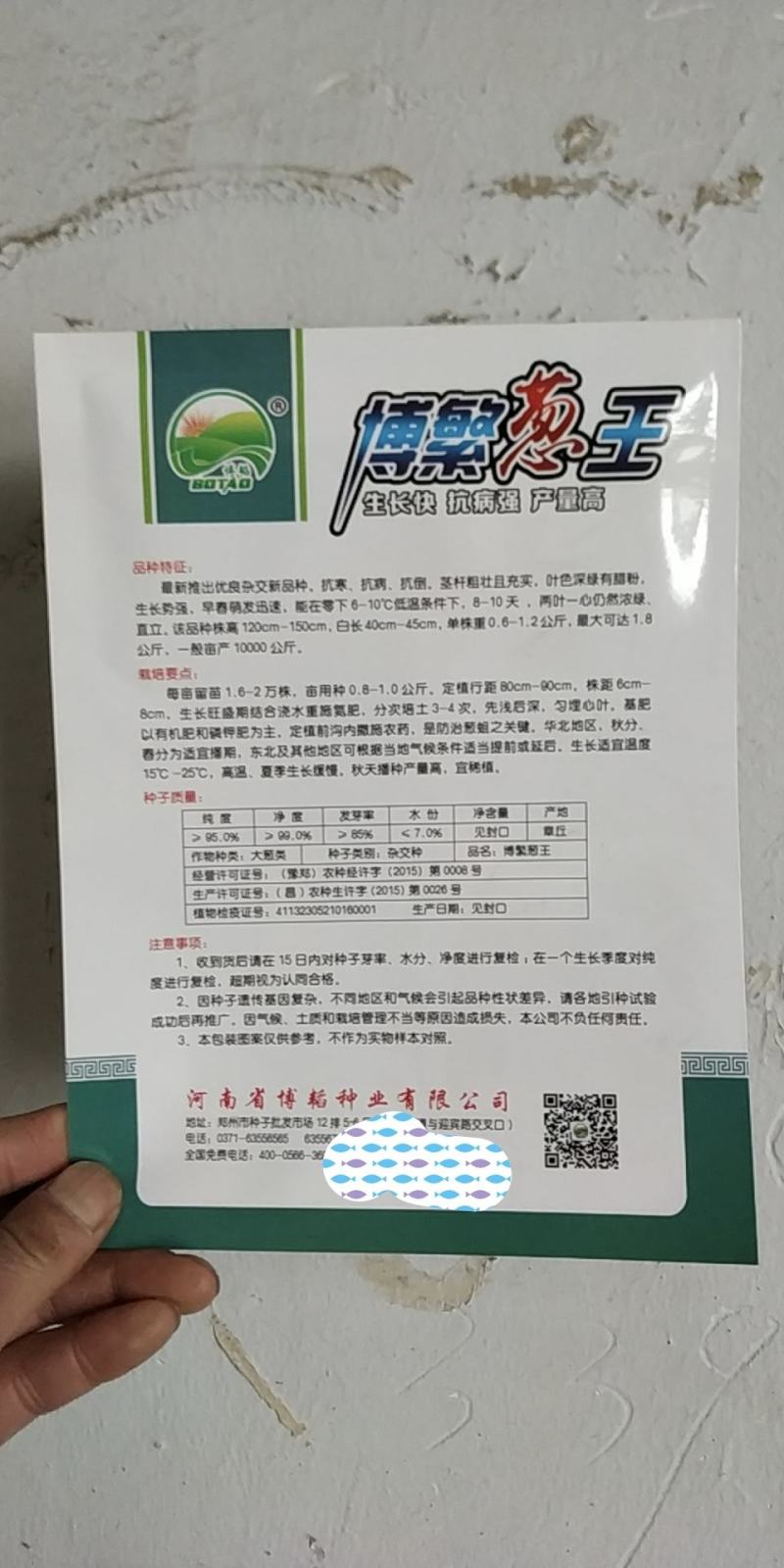 博繁葱王，高产抗病粗壮