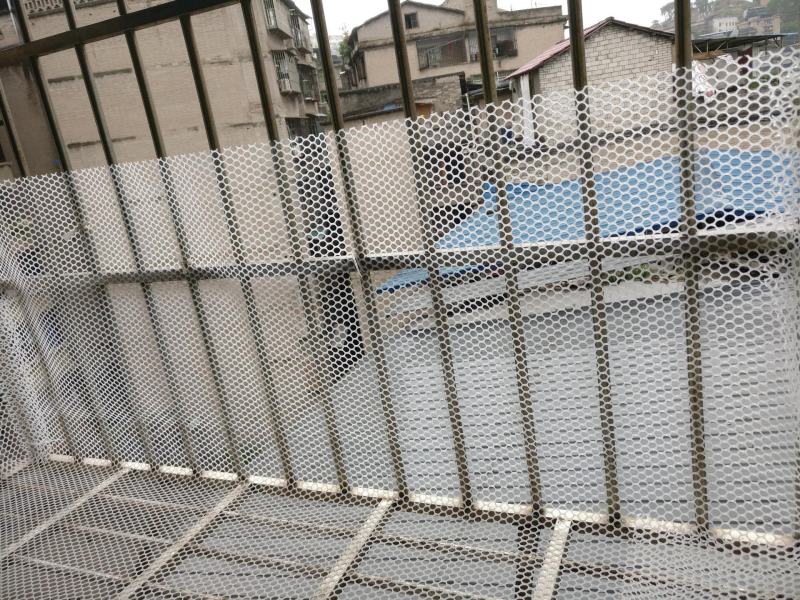 （包邮）漏粪网塑料养殖网育雏网养鸡鸭鹅网地网防坠网胶网