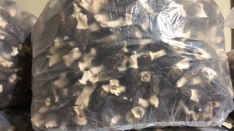 羊肚菌干货一件代发