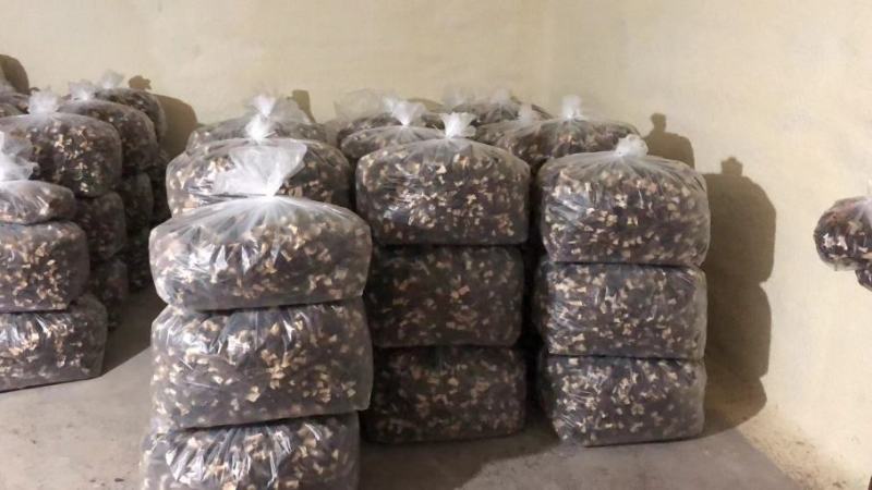 羊肚菌干货一件代发