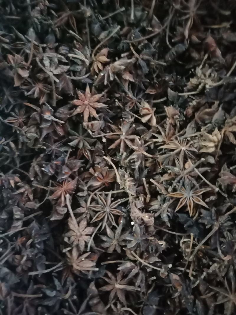 广西原产地散装春花干八角
