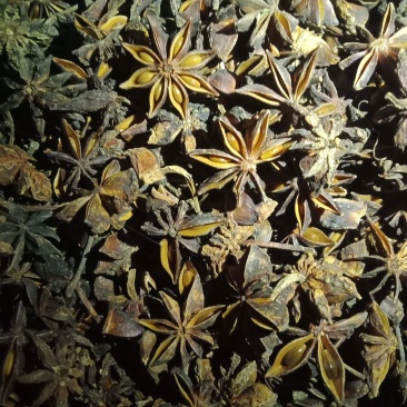 广西原产地秋花干大红八角
