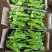 兰陵精品薄皮椒苏椒芜湖椒大量上市，色泽鲜亮，个头匀称，
