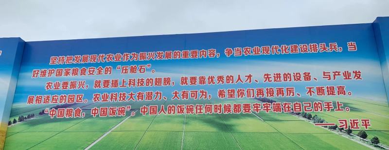 新米！五常稻花香，一碗好米饭，好吃不抬头！不好吃可退呦～