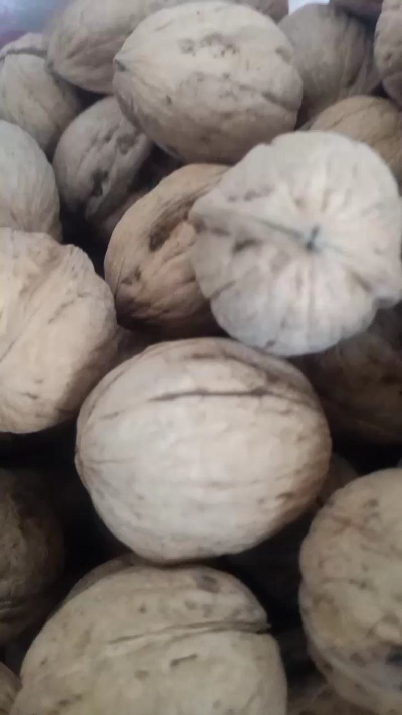 山西省汾阳汾州核桃纸皮核桃香玲核，晋龙核桃，各种品种都有