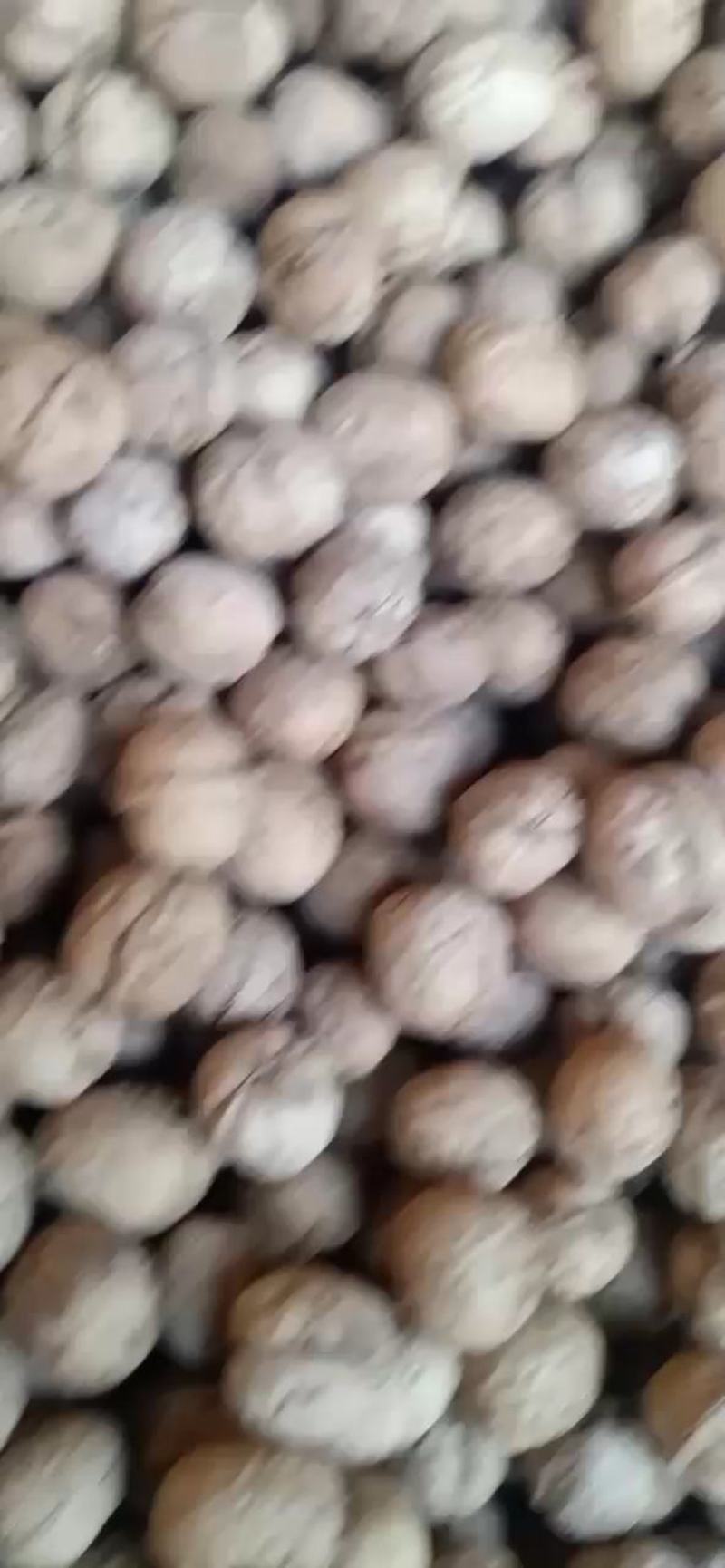 山西省汾阳汾州核桃纸皮核桃香玲核，晋龙核桃，各种品种都有