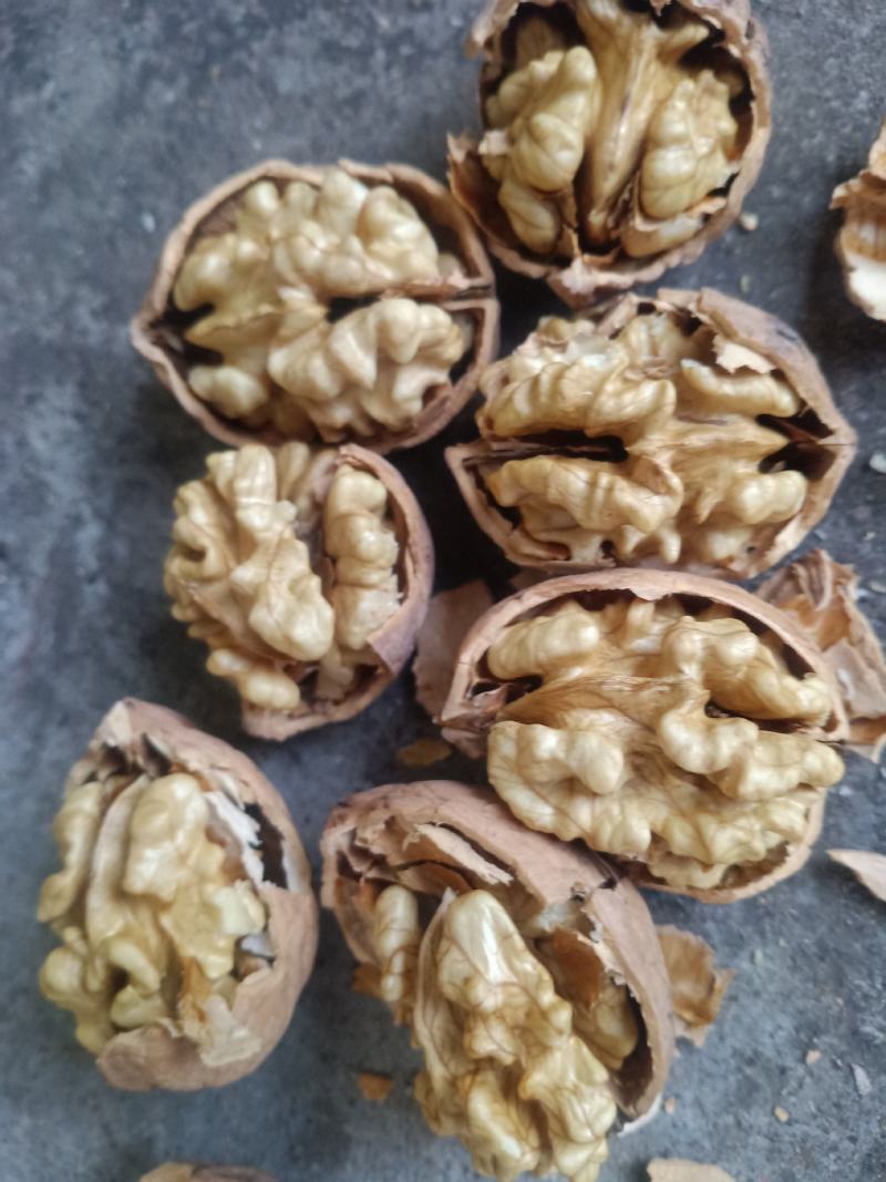 山西省汾阳汾州核桃纸皮核桃香玲核，晋龙核桃，各种品种都有