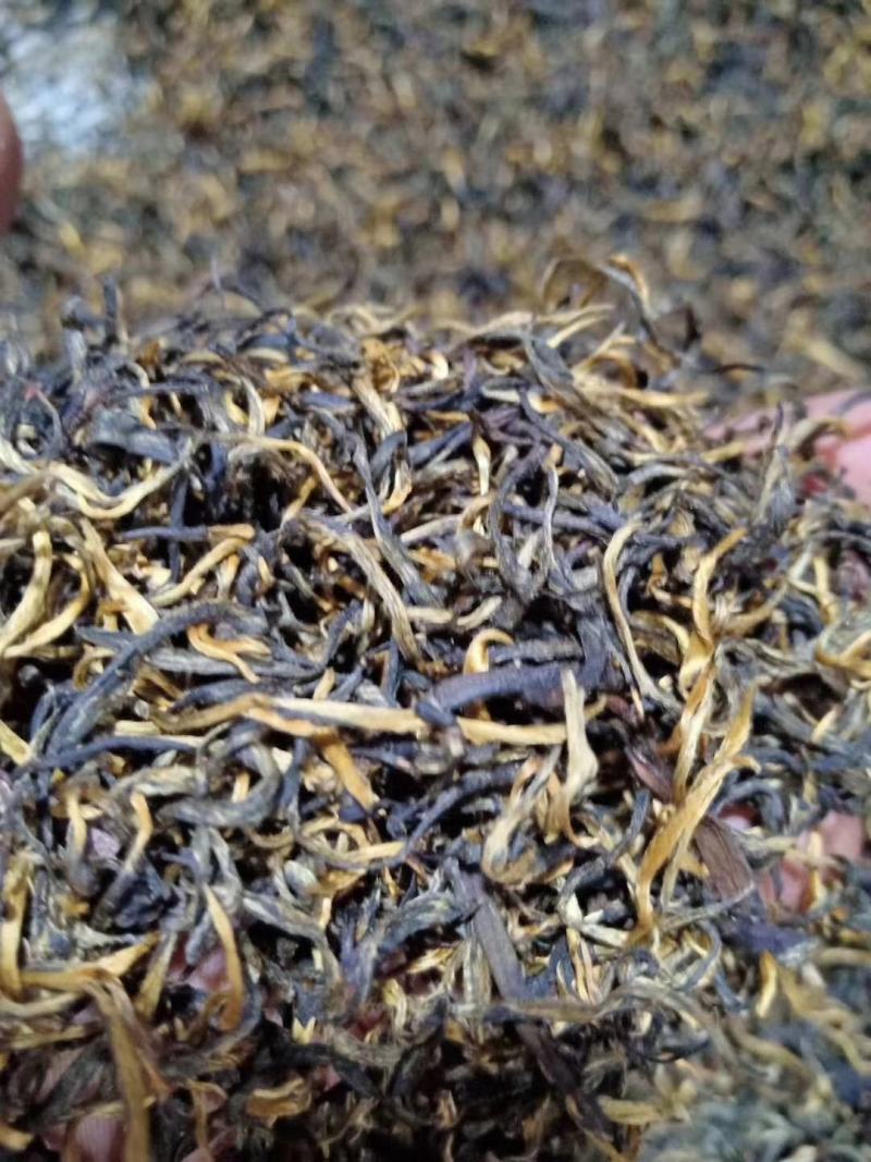 云南凤庆滇红茶明前头采一级一芽一叶大量批发