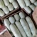 【荐】精品羊角蜜甜瓜大量有货现摘现发脆甜欢迎采购