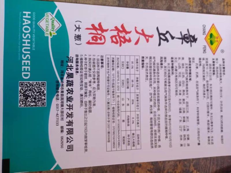 山东章丘大葱种子高产耐寒铁杆苗蔬菜苗子种籽四季春季大葱种