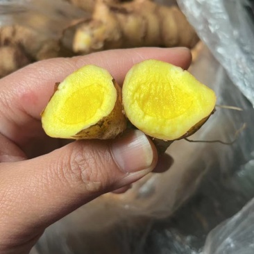 姜黄中药材，由于地方不同叫法不同