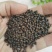 茶海虾王促销价海大饲料养殖专用小龙虾养殖专用颗粒饲料配合