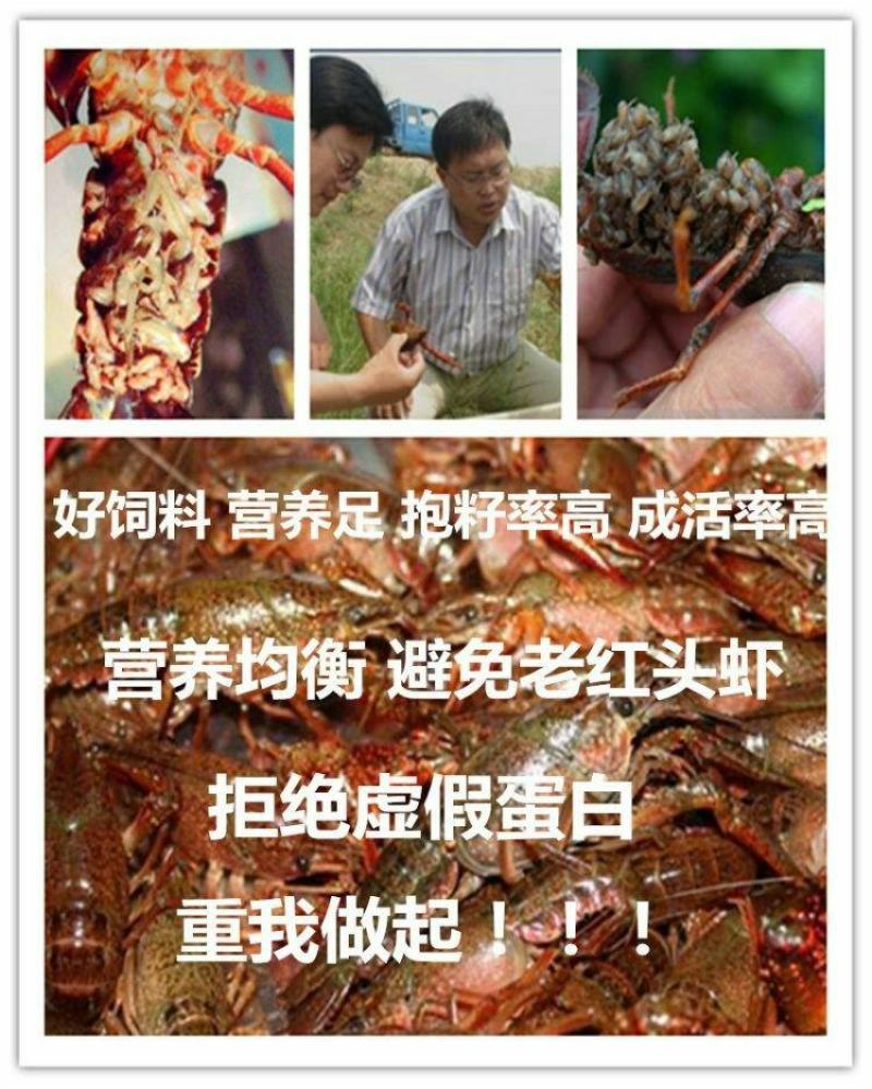 茶海虾王促销苏兰林新连小龙虾养殖专用颗粒饲料28蛋白水产