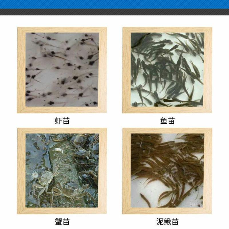 茶海虾王虾奶粉虾苗仔虾配合饲料48蛋白对虾青虾素批发代发