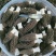 精品羊肚菌