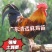 广东名鸡清远麻鸡35-45克黄皮土鸡苗全国发货