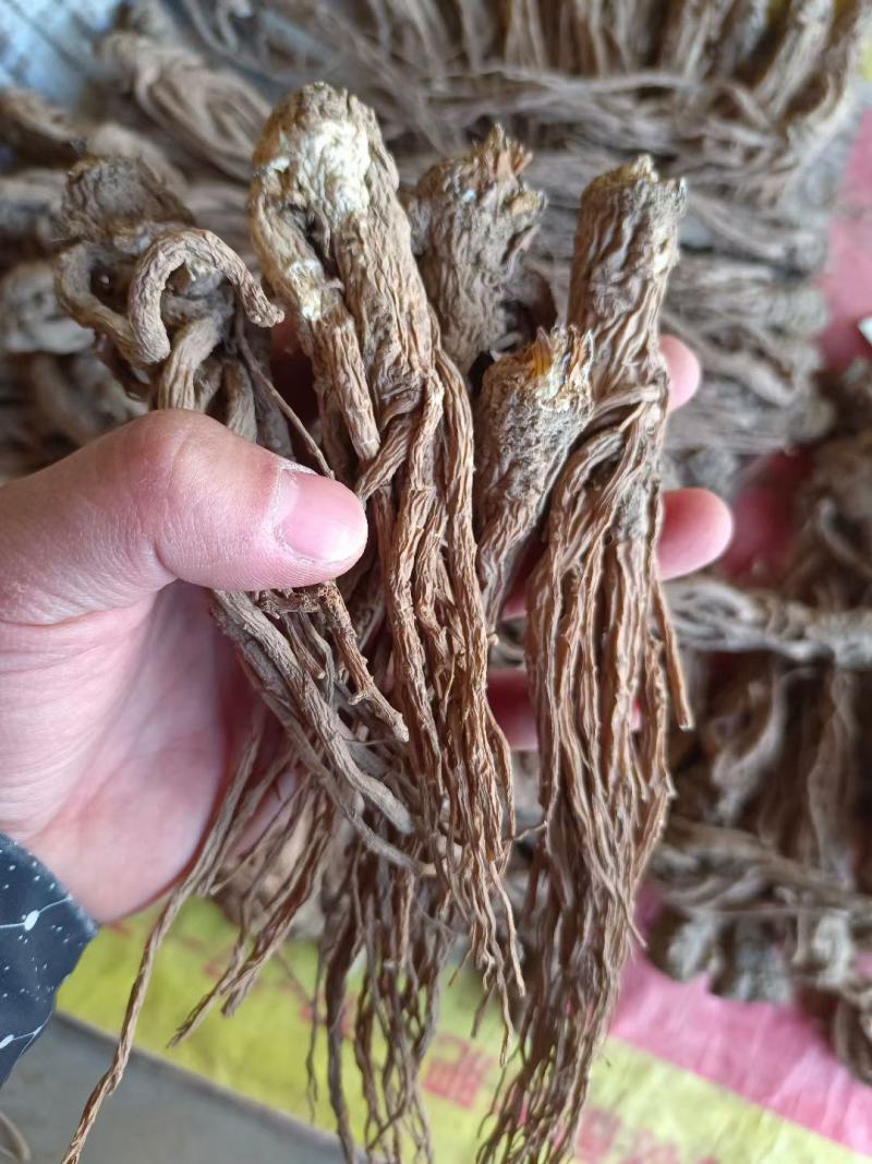 岷县当归。新货。全干，无硫。自家种植，诚信经营，货源稳定