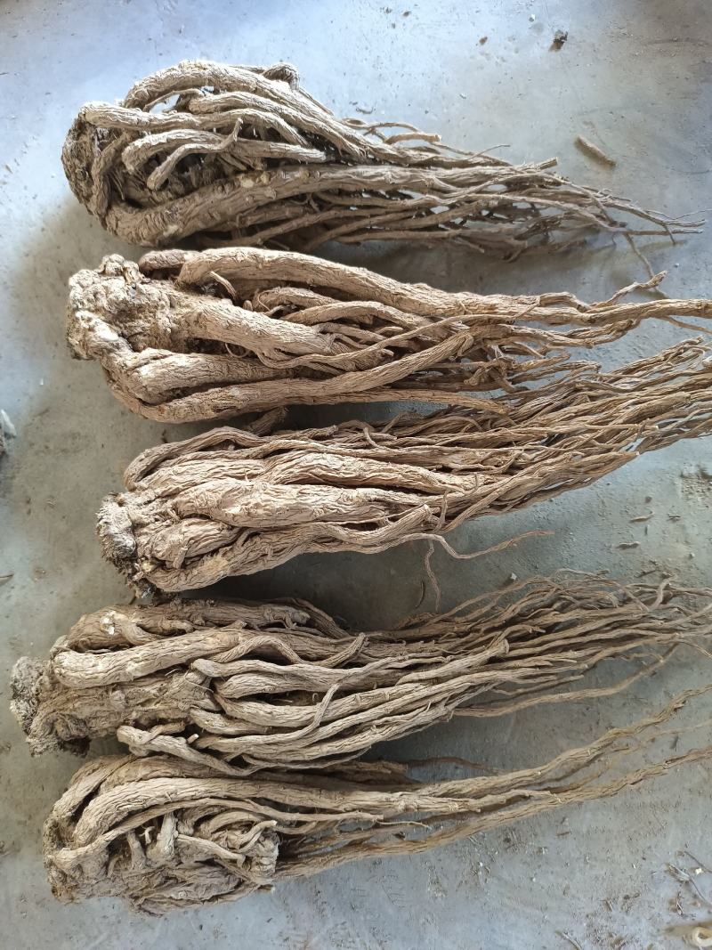 岷县当归。新货。全干，无硫。自家种植，诚信经营，货源稳定