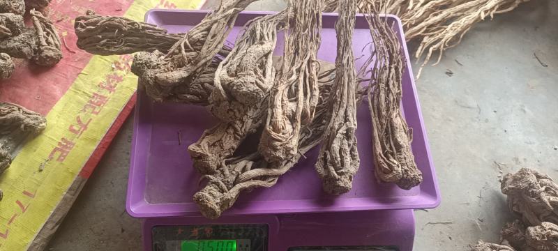 岷县当归。新货。全干，无硫。自家种植，诚信经营，货源稳定