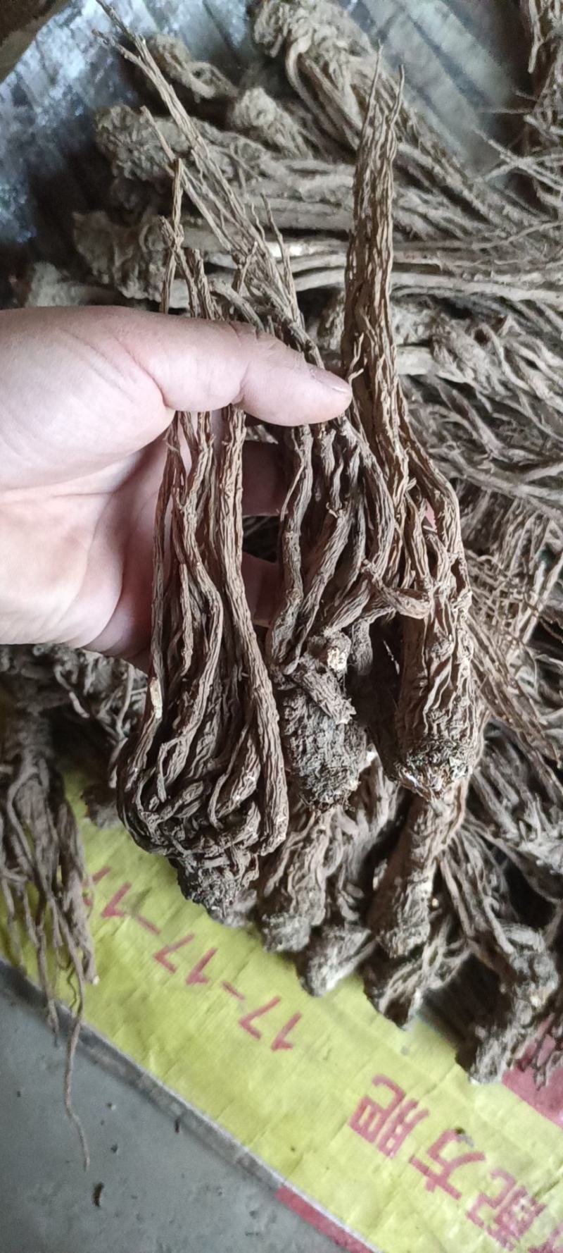 岷县当归。新货。全干，无硫。自家种植，诚信经营，货源稳定