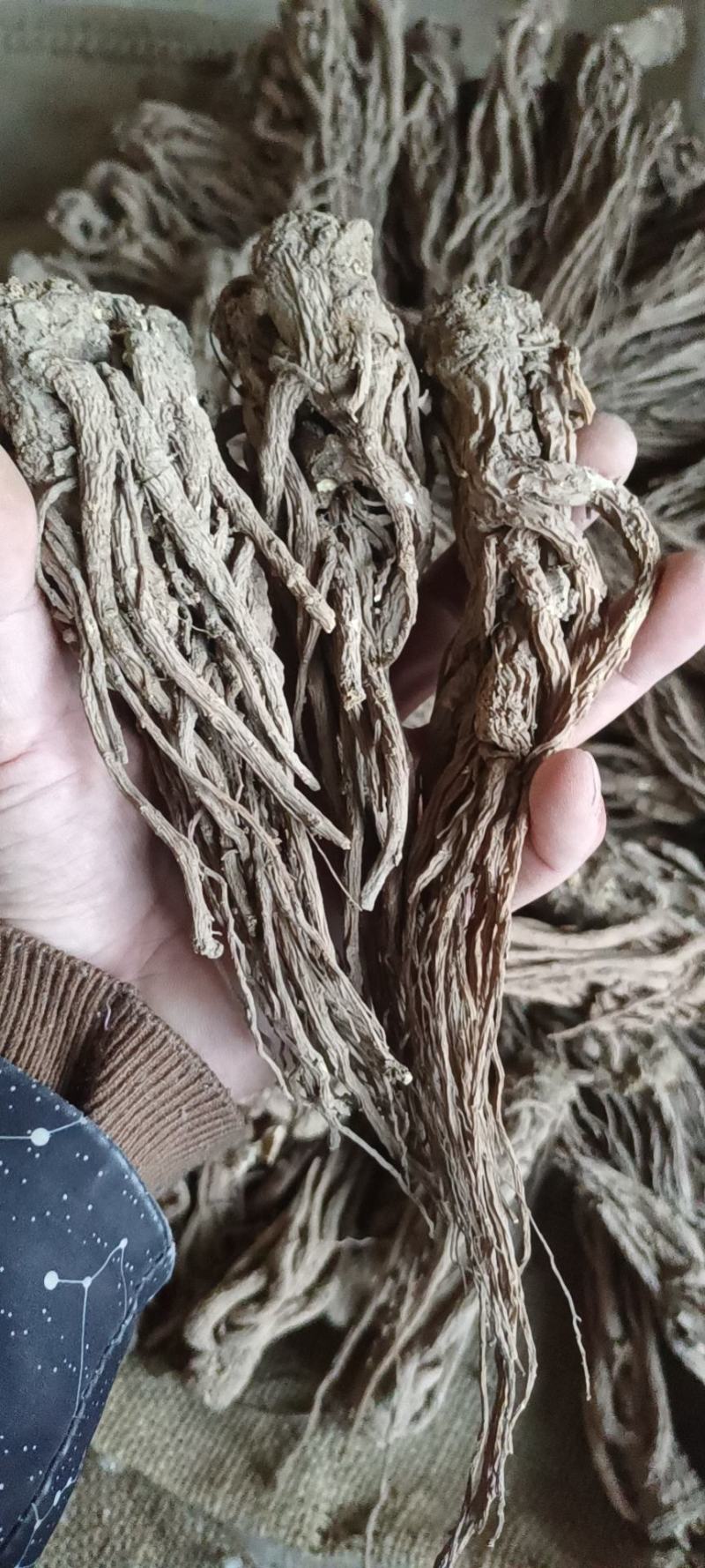 岷县当归。新货。全干，无硫。自家种植，诚信经营，货源稳定