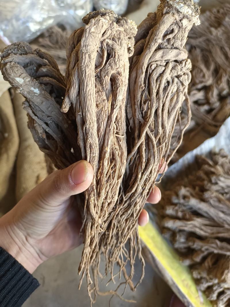 岷县当归。新货。全干，无硫。自家种植，诚信经营，货源稳定