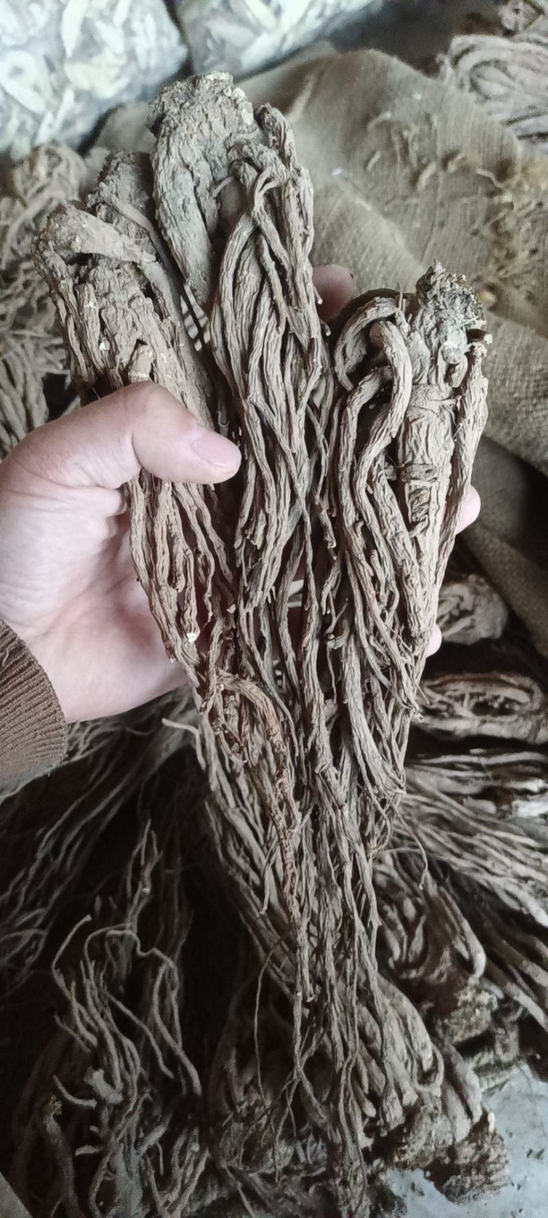 岷县当归。新货。全干，无硫。自家种植，诚信经营，货源稳定