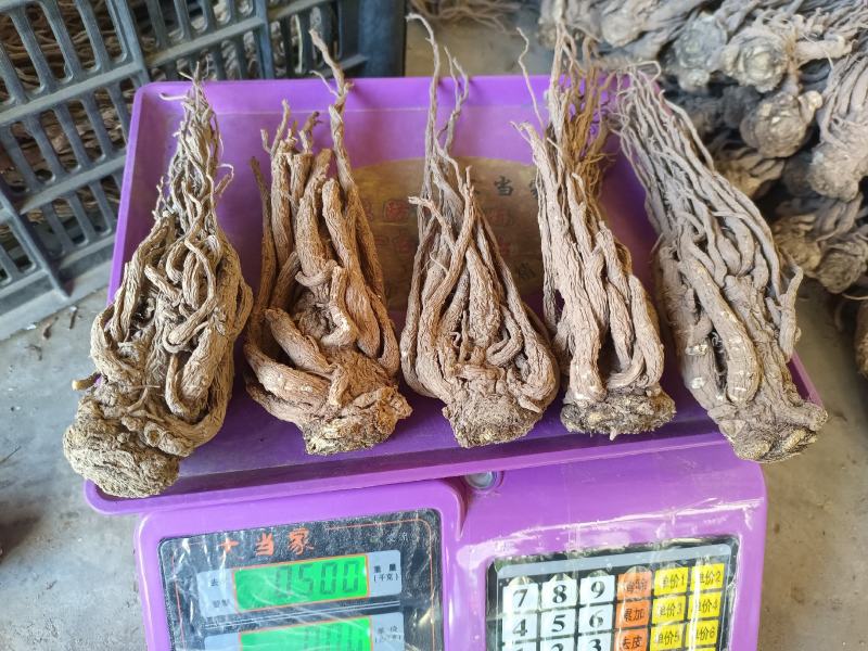 岷县当归。新货。全干，无硫。自家种植，诚信经营，货源稳定