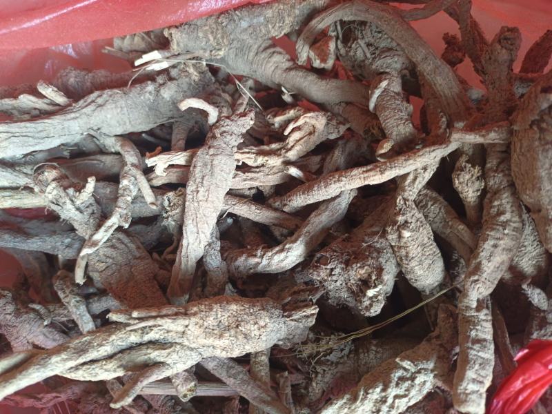 野生南沙参。足干。无硫。纯正野生货。药力足，产地直发