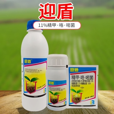 11%精甲·咯·嘧菌酯种衣剂根腐病茎基腐病白绢病农药杀菌