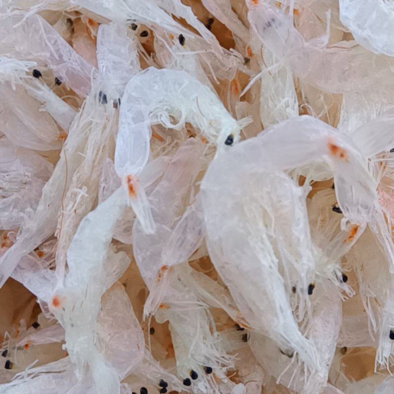 无盐淡干虾皮，货源充足，各类海产应有尽有