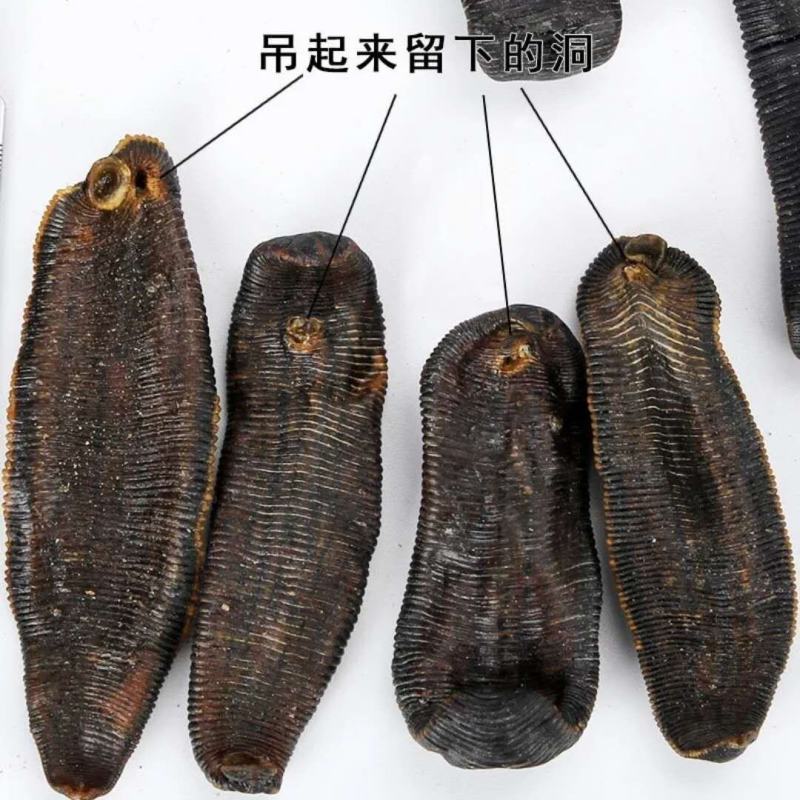 水蛭产地山东产地销量大货好不满意可以退换货