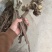 野生赤芍。正品好货。全干。无硫，一手货源，欢迎选购