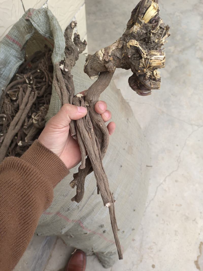 野生赤芍。正品好货。全干。无硫，一手货源，欢迎选购