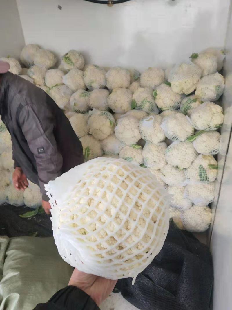 温州有机花小米粒面白商超电商货源充足全国发货