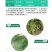 斑潜蝇31%阿维灭蝇胺豆角叶菜苍蝇药果树大小果实蝇苍蝇药