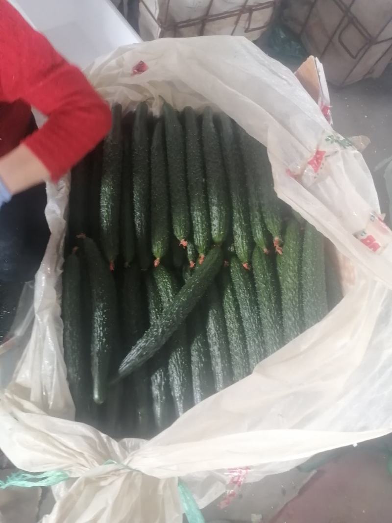 寿光精品无公害蔬菜，有一手货源，产地直发，欢迎新老客户采
