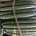 寿光精品无公害蔬菜，有一手货源，产地直发，欢迎新老客户采
