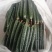 寿光精品无公害蔬菜，有一手货源，产地直发，欢迎新老客户采