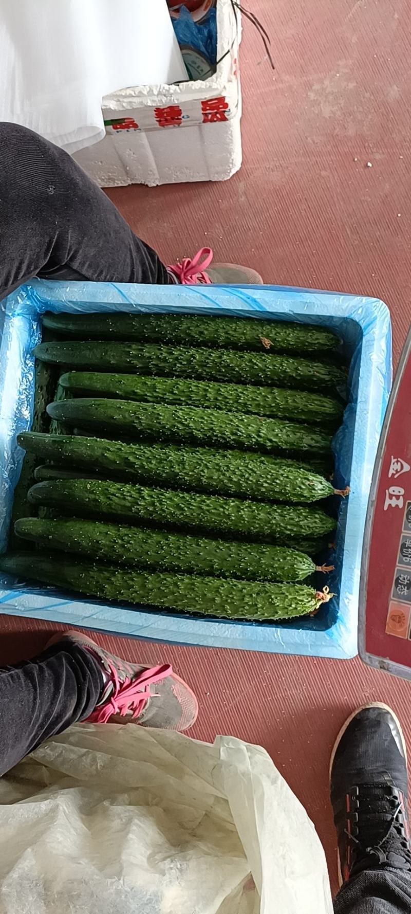 寿光精品无公害蔬菜，有一手货源，产地直发，欢迎新老客户采